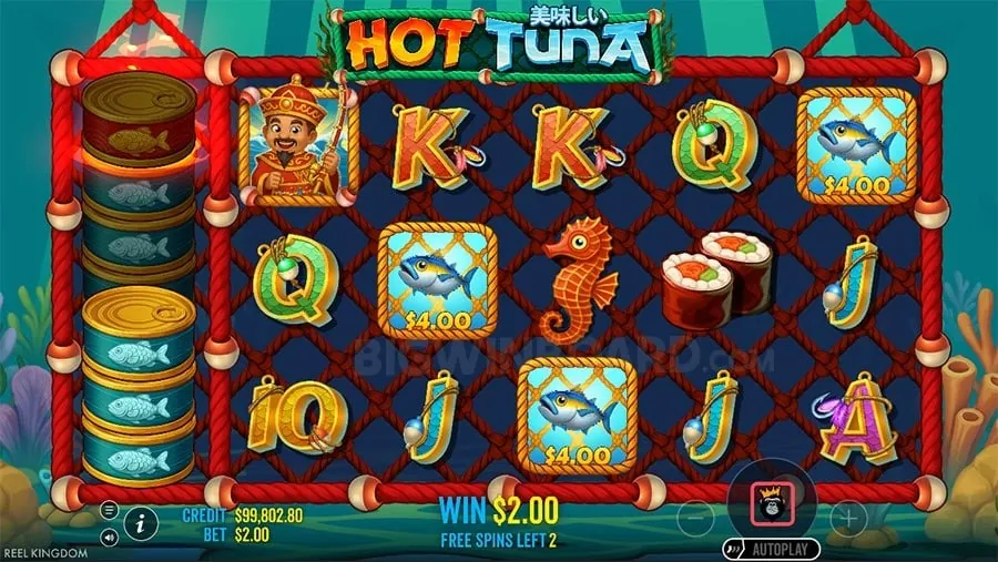 Diverse Sports Betting Options at Jiligames