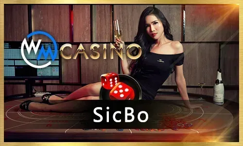 Understanding JiliGames Sports Odds